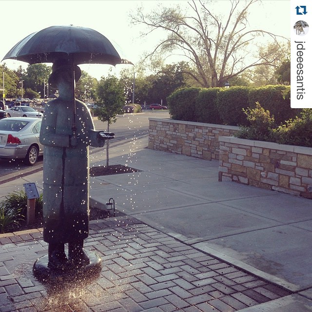 The Rain Man - Jake DeSantis